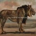 Lion African wild cat feline wildlife art - 8x10 print from painting, signed and matted