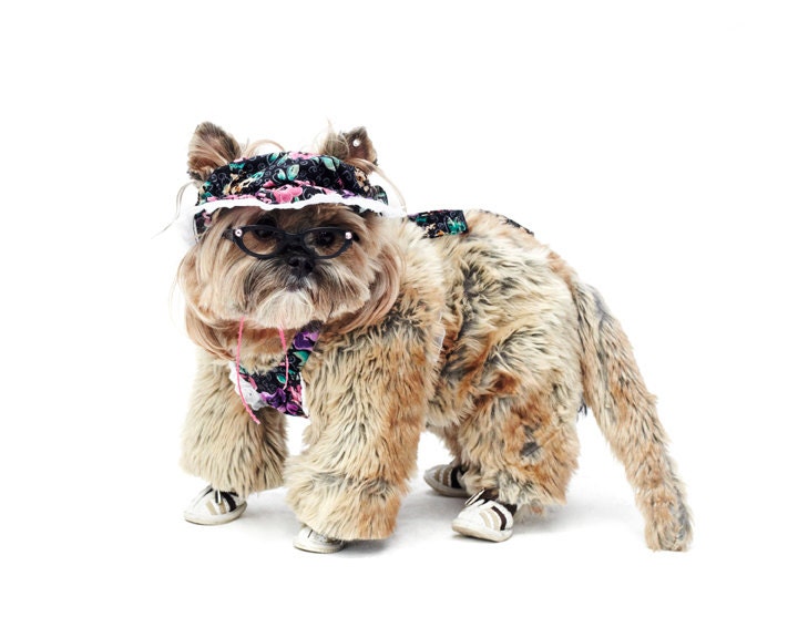 Petey the Yorkshire Terrier as Grandma - 8 x 10 in. Archival Pigment Print