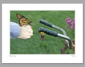 Night Light, 11 X 14 matted photograph of a night light provided by a lightning bug for his monarch butterfly friends