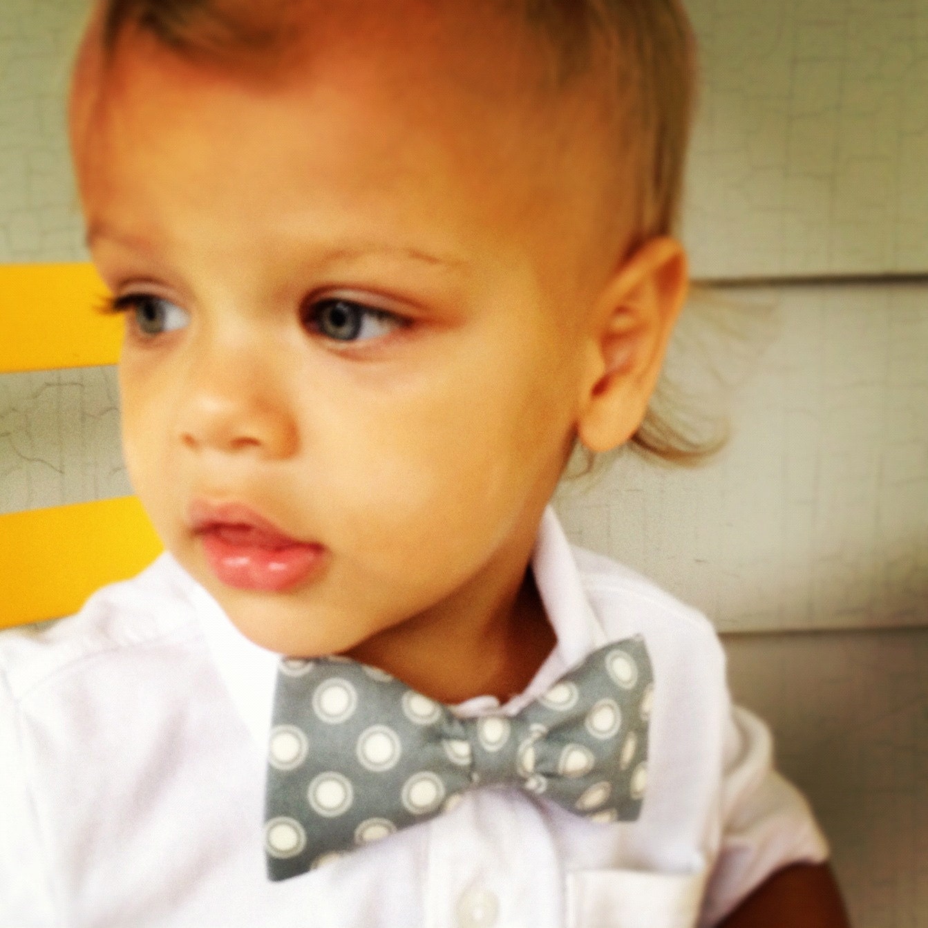 Little Man Bow Tie