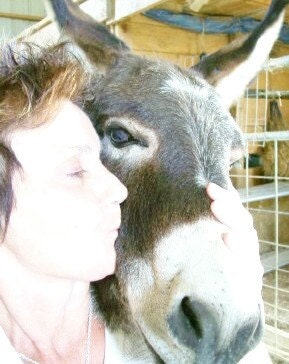 DoNkEY BLiNG.........Bust A Move.....On Some Burro Bling Groove.......