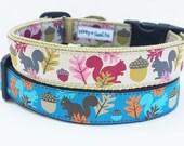 Squirrel Bait - Dog Collar / Handmade / Adjustable / Pet Accessories