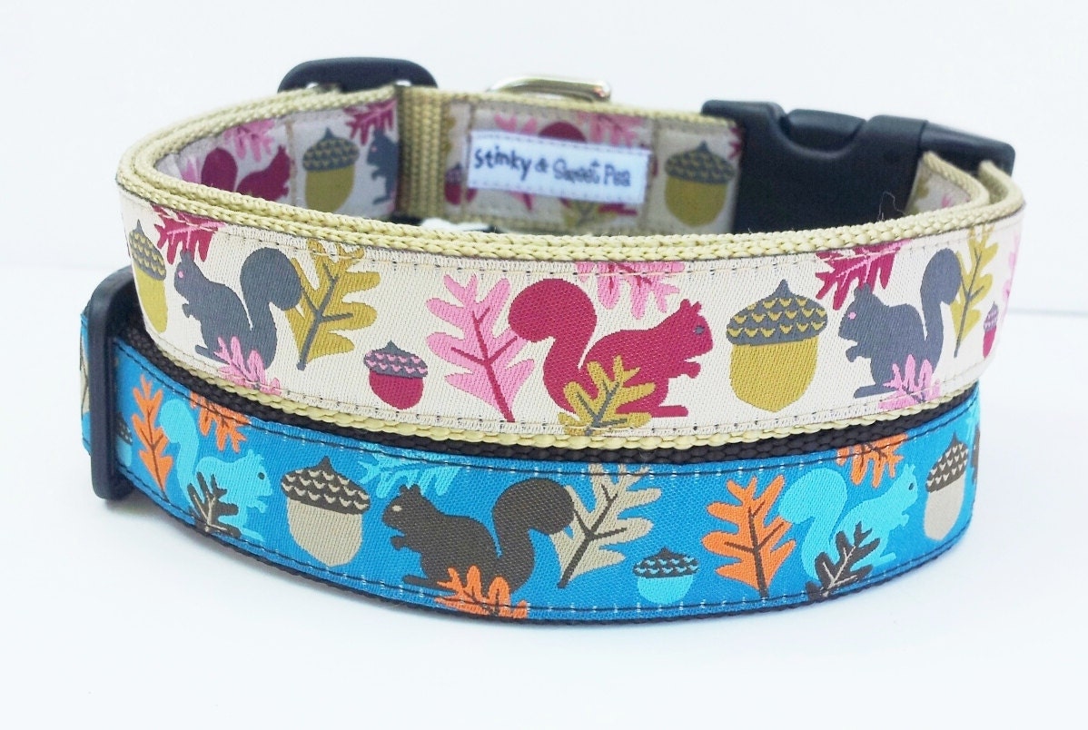 Squirrel Bait - Dog Collar / Handmade / Adjustable / Pet Accessories