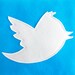 Anony Tweet Pillow