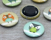 Hoot Owl Magnet Set in Gift Tin: Refrigerator Magnets - Owl, Tree Branch, Geometric Pattern, Colorful, Kids, teal, Beige, Green (Set of 6)