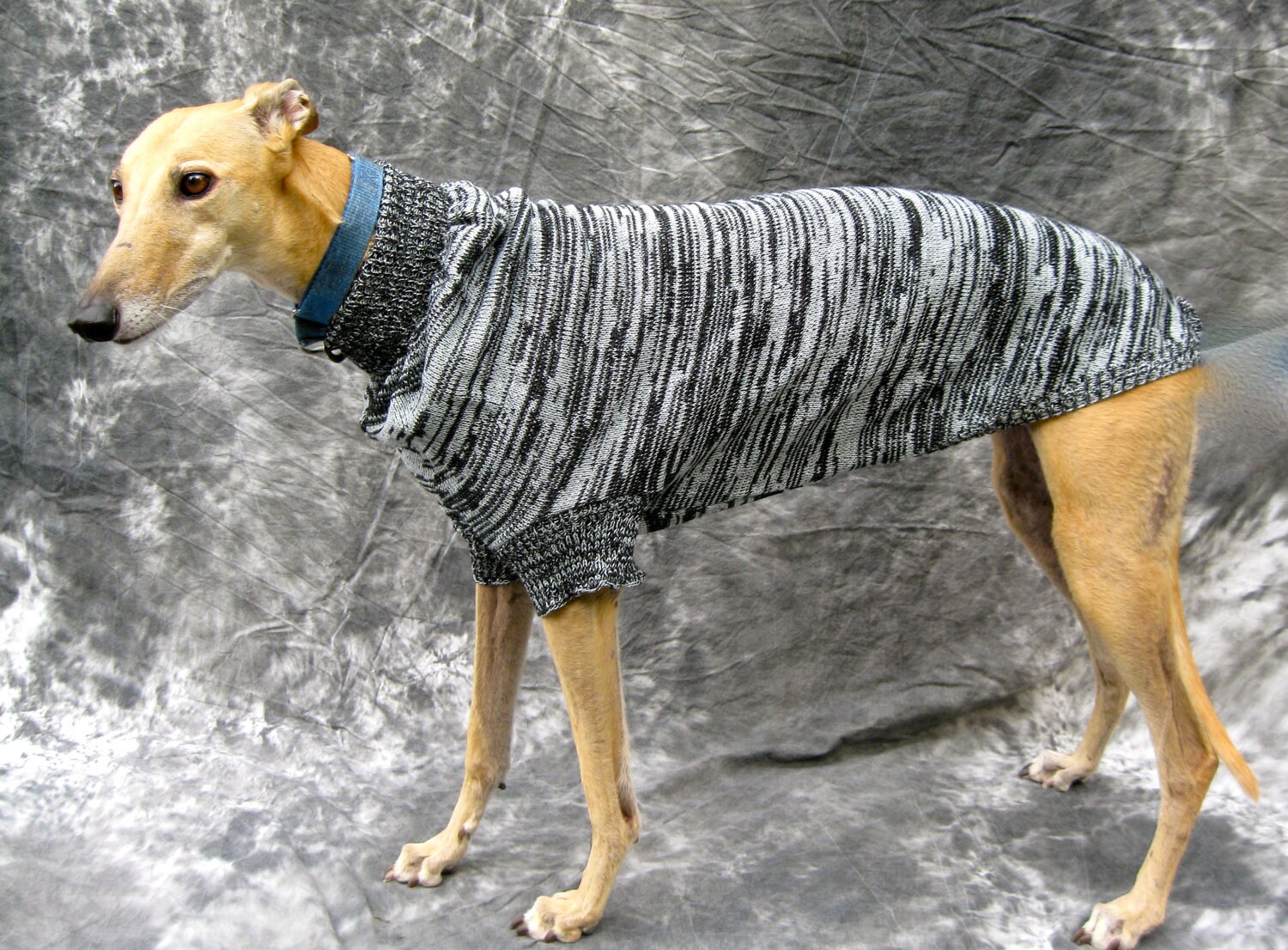 Greyhound Sweater Medium Black/grey brindle by greyhoundhappy
