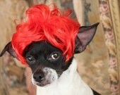 Pet   wig  for dog or cat