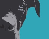 Pet Portrait Custum pop art