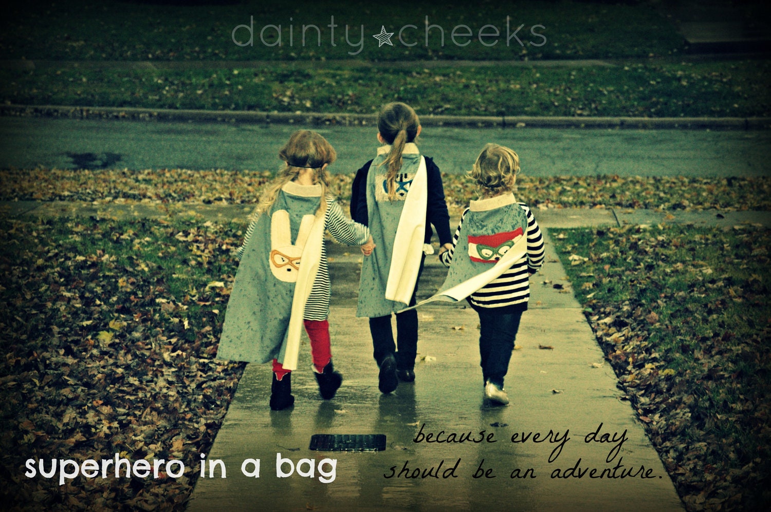 Superhero in a bag raccoon, fox, or rabbit