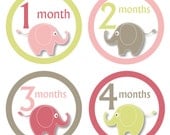 Monthly Onesie Stickers...Set of 12 Girls...Baby Animals Elephants...Ready to Ship...Waterproof....Months 1-12