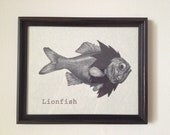 Framed 8 x 10 Lionfish Print