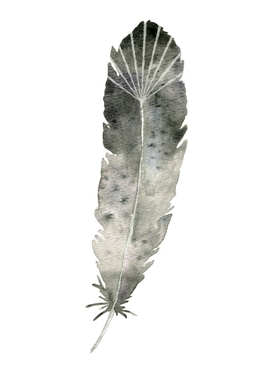 grey feather 5x7 original watercolor painting print