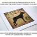 Mister Fox GRAPHIC ART Illustration 7x7 giclee print SIGNED