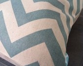 Gray Blue Chevron Pillow Covers - Bold Graphic  - 24x24