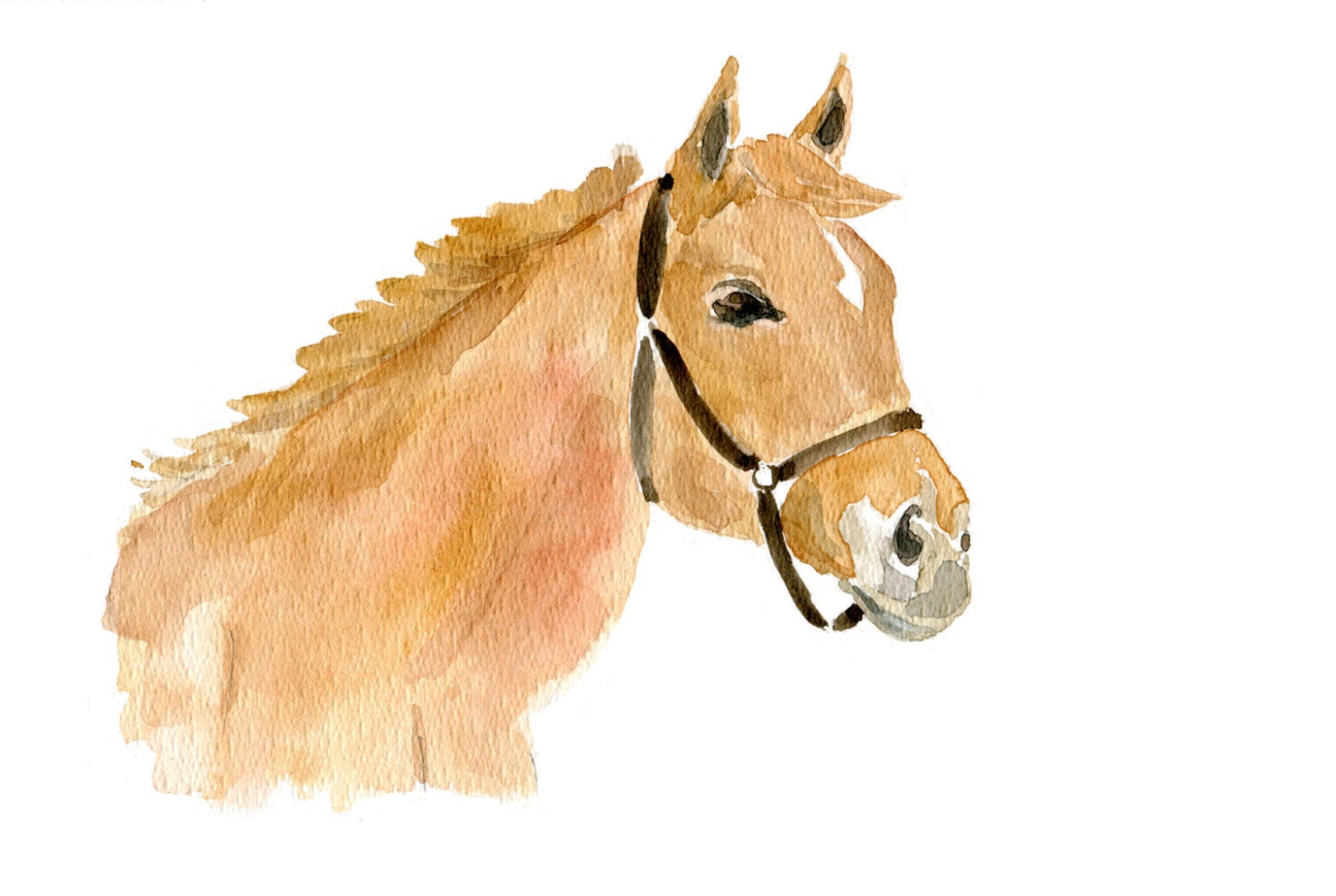 Ginger horse, original watercolor painting, ranch, farm, Equestrian, for men, nursery decor, country, animal art