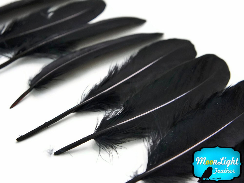 1 Pack - BLACK Goose Satinettes Loose feathers - 0.3 oz. : 167