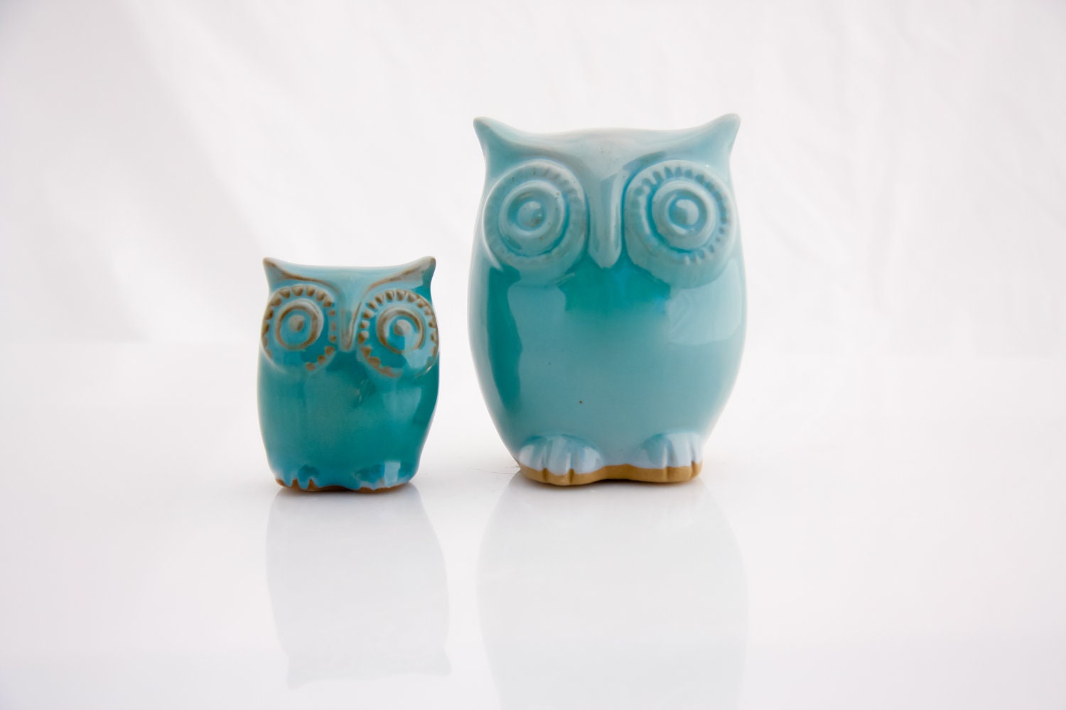 owl decor in robins egg set of two