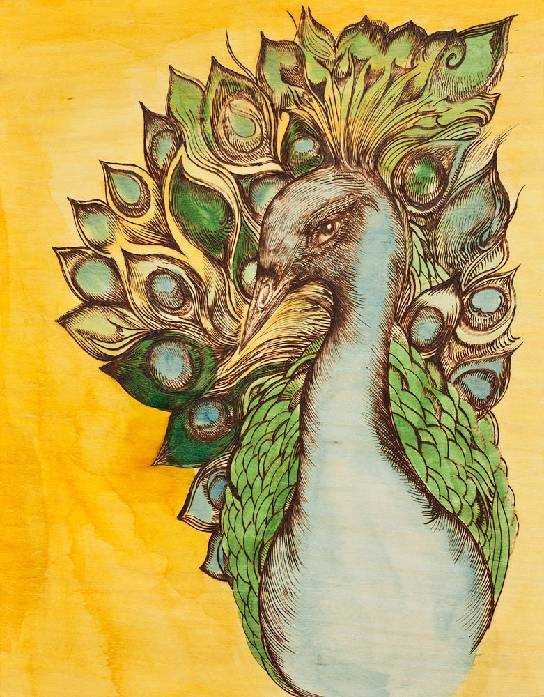 18"x24" Print--Peacock