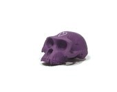 Ardi chalkboard skull