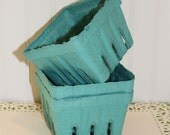 Farmers Market Berry Baskets, 10 Party Favor Boxes, Little Lunch Box, Strawberry, Cookies, Sandwich, Treats, Travel Snacks