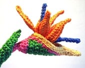 Bird of Paradise Crochet Flower Pattern - MELI BONDRE