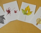 Botanical Art Cards, Series 04 - Nature Studies