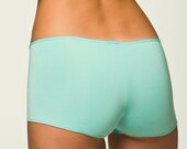 Aqua Blue Panties Lingerie - Boyshort  - Medium