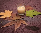 Real dried leaves 50-Dried Assorted leaves-Woodland Wedding with Maple-Cherry-Sumac-hickory-50 Hand Picked and Pressed  Leaves