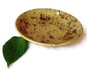 Small Serving Bowl in Earth Tones of Brown and Rust