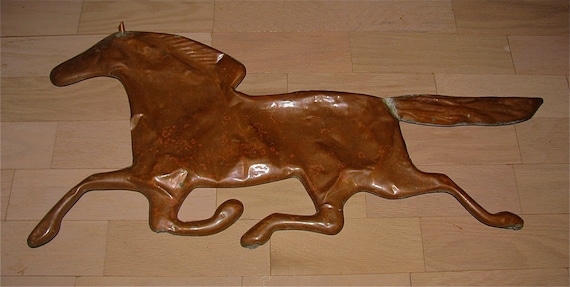 Bull penis