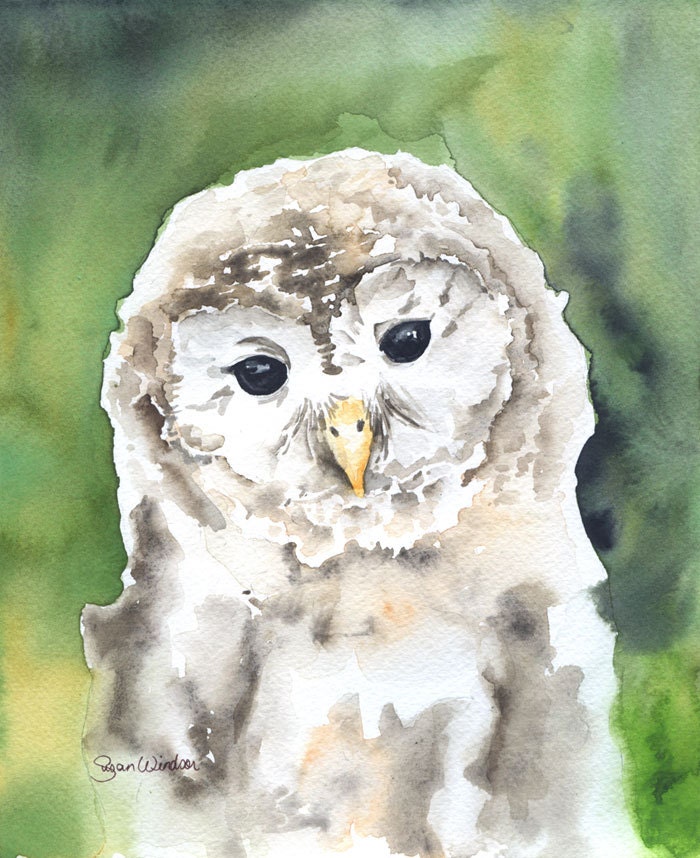 Barred Owl Watercolor Painting Giclee Print 8 x 10 - SusanWindsor