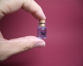 Manta and diver are in a tiny bottle ver.2
