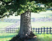Personalized Tree Carving- Under The Shade Tree- You Choose Names Carved on Tree- Unique Personalized Gift for HIm or Her