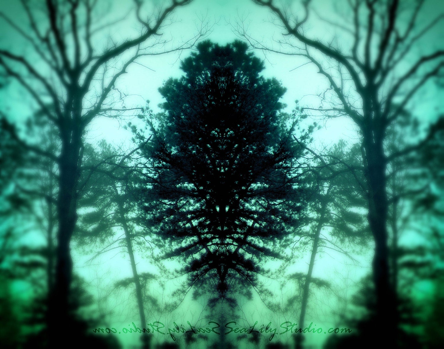 Dark Forest 11x14 surreal photo lake mist by SeaLilyStudio