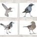 bird silhouette postcard set, photography postcards, set of 4, blank notecard, animal art, gray, blue, reclaimed wood art