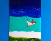 Sting ray in the Caribbean limited print