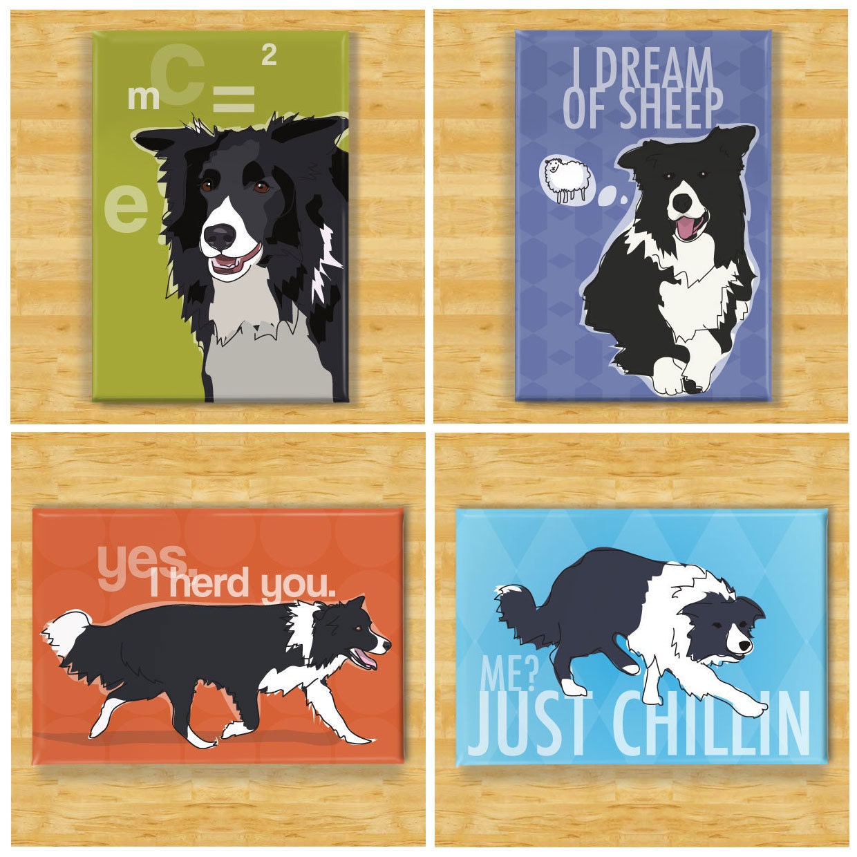 Border Collie Magnet Four Pack - Dog Magnet Gift Set
