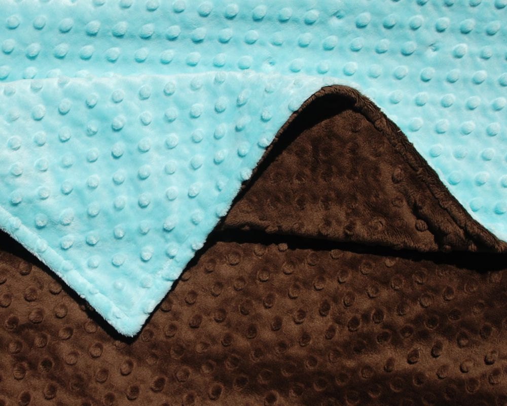 Ready to Ship - Aqua and Brown Personalized Double Minky Baby Blanket