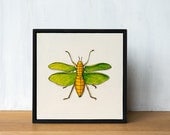 Insect Art Original Painting - Katydid, framed