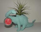Keep Calm and Love a Dino. Dinosaur planter in seafoam with air plant.