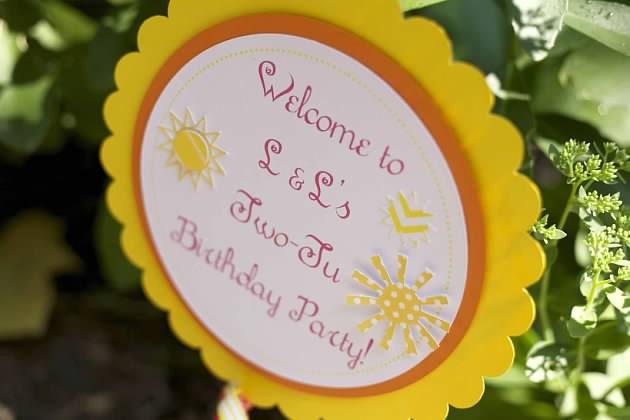 Centerpiece Flags, Over sized. You are my SUNSHINE. Large. Photo Props. Custom and Made to Order. Il_170x135