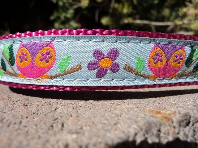 Sale Dog Collar - Country Owls - Small or Medium img