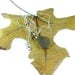 Grey Sea Glass Pendant with silver 925 chain