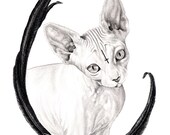 Cat - Limited run of 10 Giclee Print  20x25cm