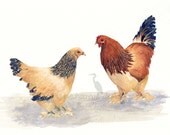 watercolor chickens- Fine Feathers- 8x10 print