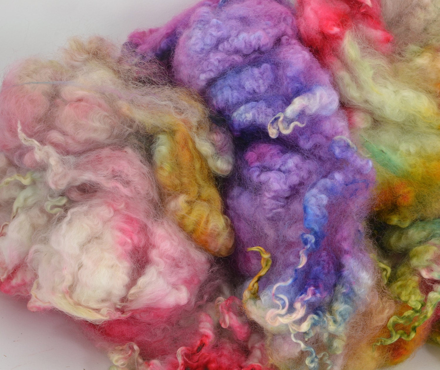Hand Dyed Coopworth x Shetland LAMB Fleece Locks Spinning and Felting Fiber -Isabella Colorway