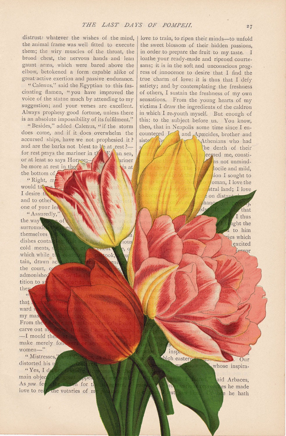 dictionary art vintage TULIPS spring print - vintage art book page print - floral dictionary art spring floral pink