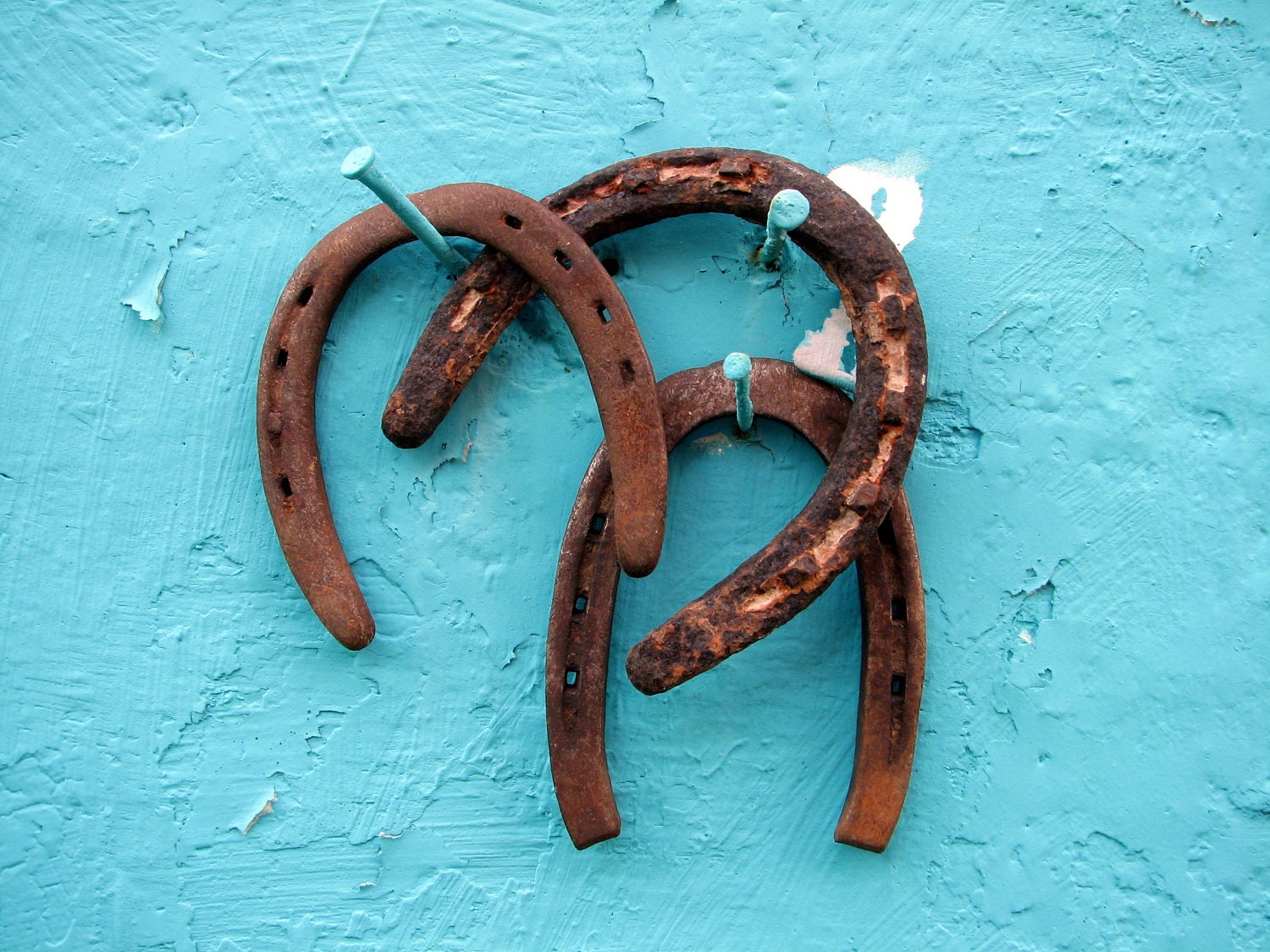 trio of worn and aged horseshoes