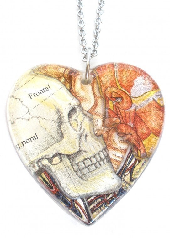 Resin Anatomy Skull Human Heart Pendant Necklace