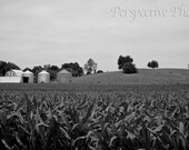 Black and White Farm - 8 x 12 Photograph